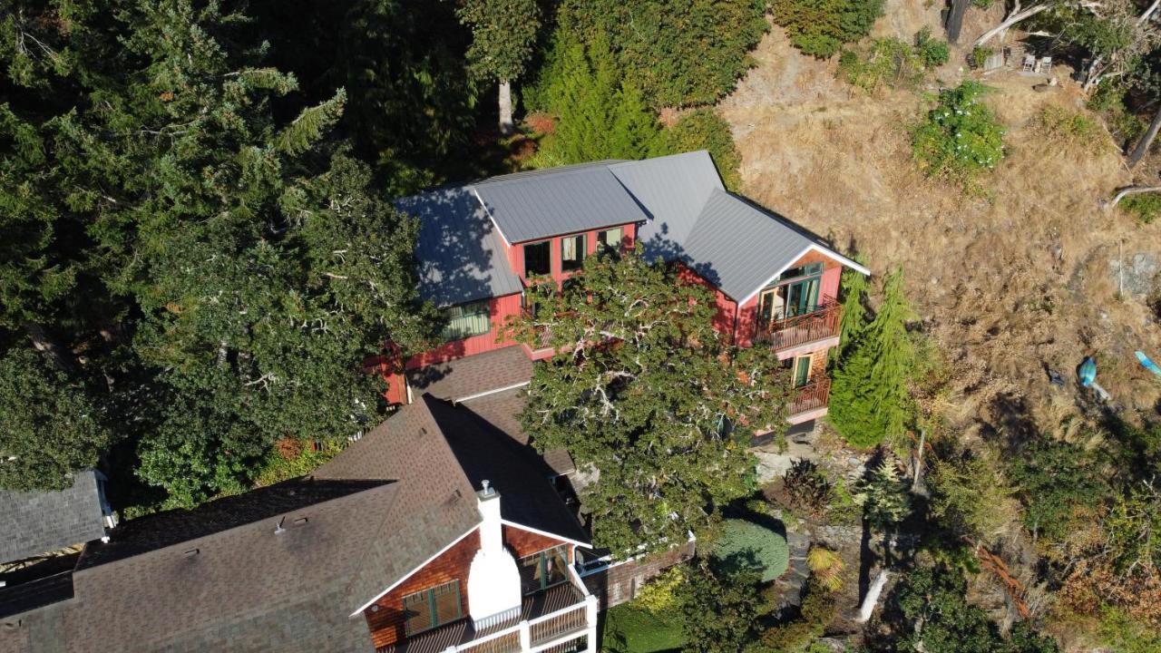 Salishan Tree House Suite Cowichan Bay Kültér fotó