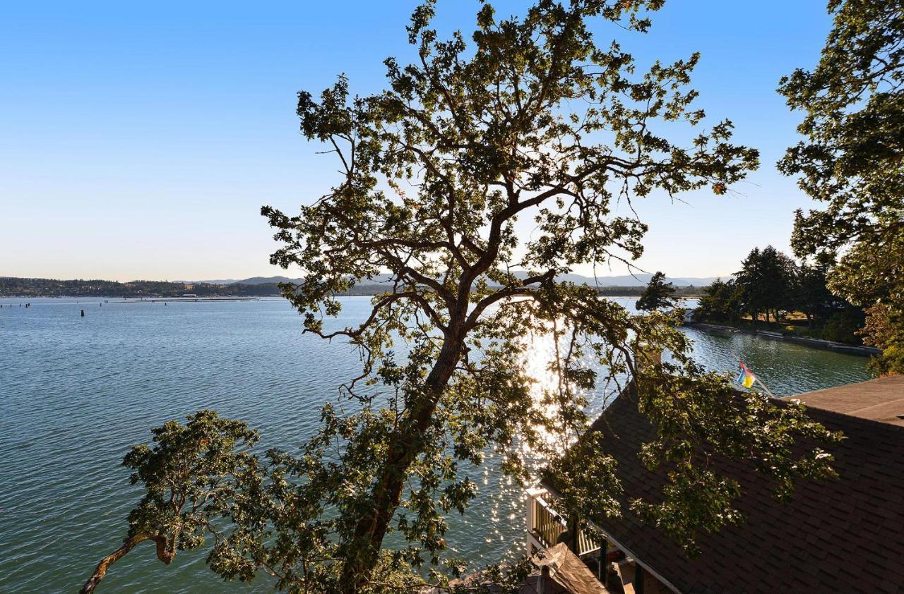 Salishan Tree House Suite Cowichan Bay Kültér fotó